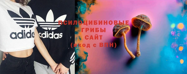 не бодяженный Алексин