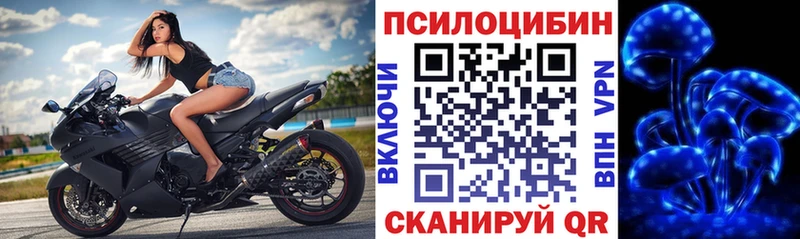 Псилоцибиновые грибы Magic Shrooms  Трубчевск 
